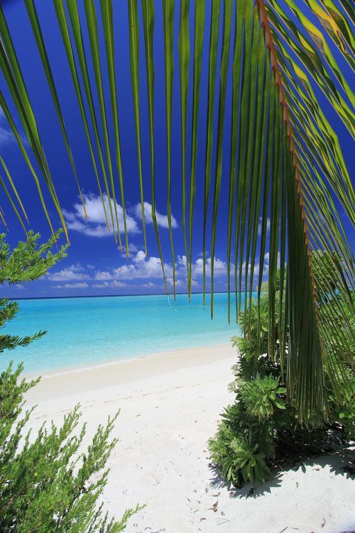 Relax Maldives Thoddoo
